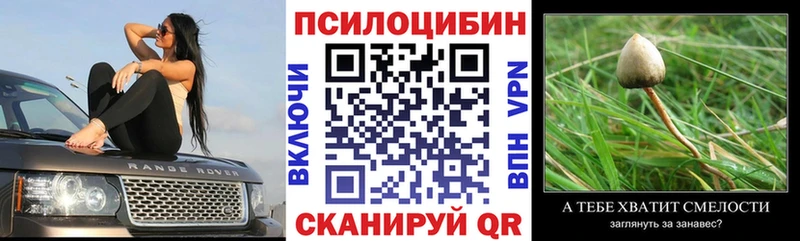 KRAKEN зеркало  Тотьма  Галлюциногенные грибы прущие грибы 